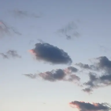 Profile image of 메라 요쿠미루