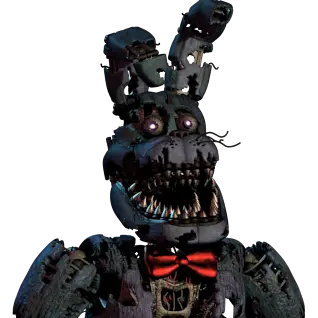 Profile image of 보니