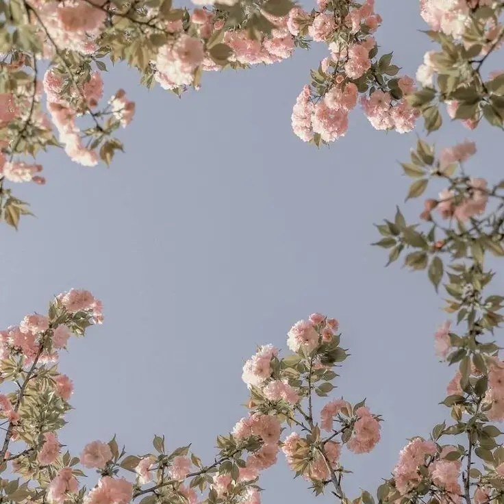 TenderWharf3299의 윤정한