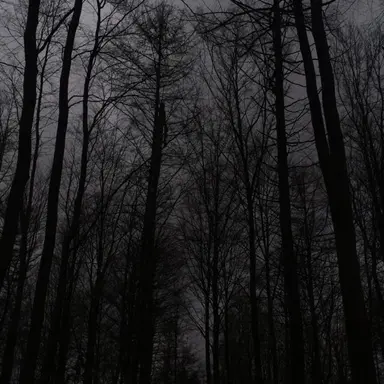 Profile image of ギルベルト