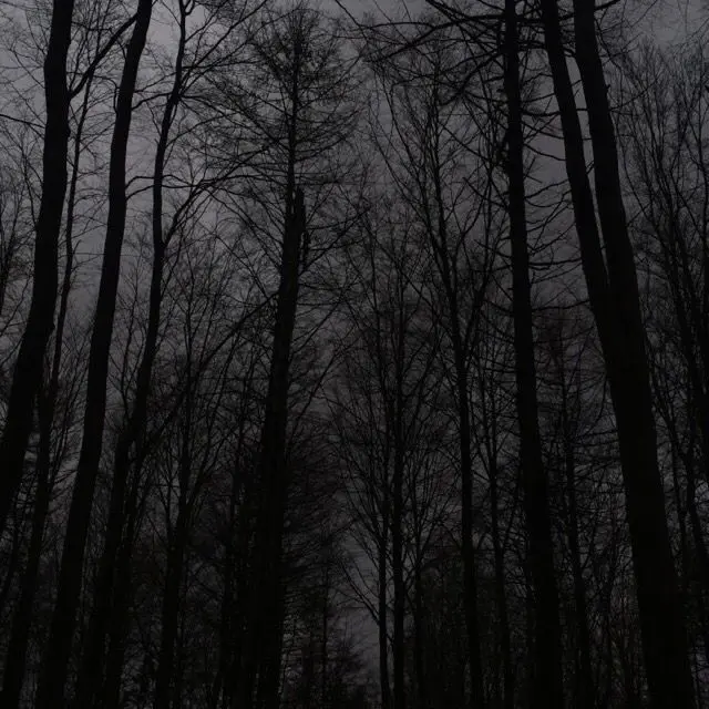 PurpleShow3895의 ︎︎︎︎❤︎❤︎❤︎