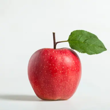 Profile image of 이진아