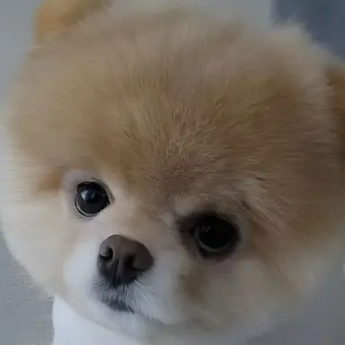 Profile image of 사장님
