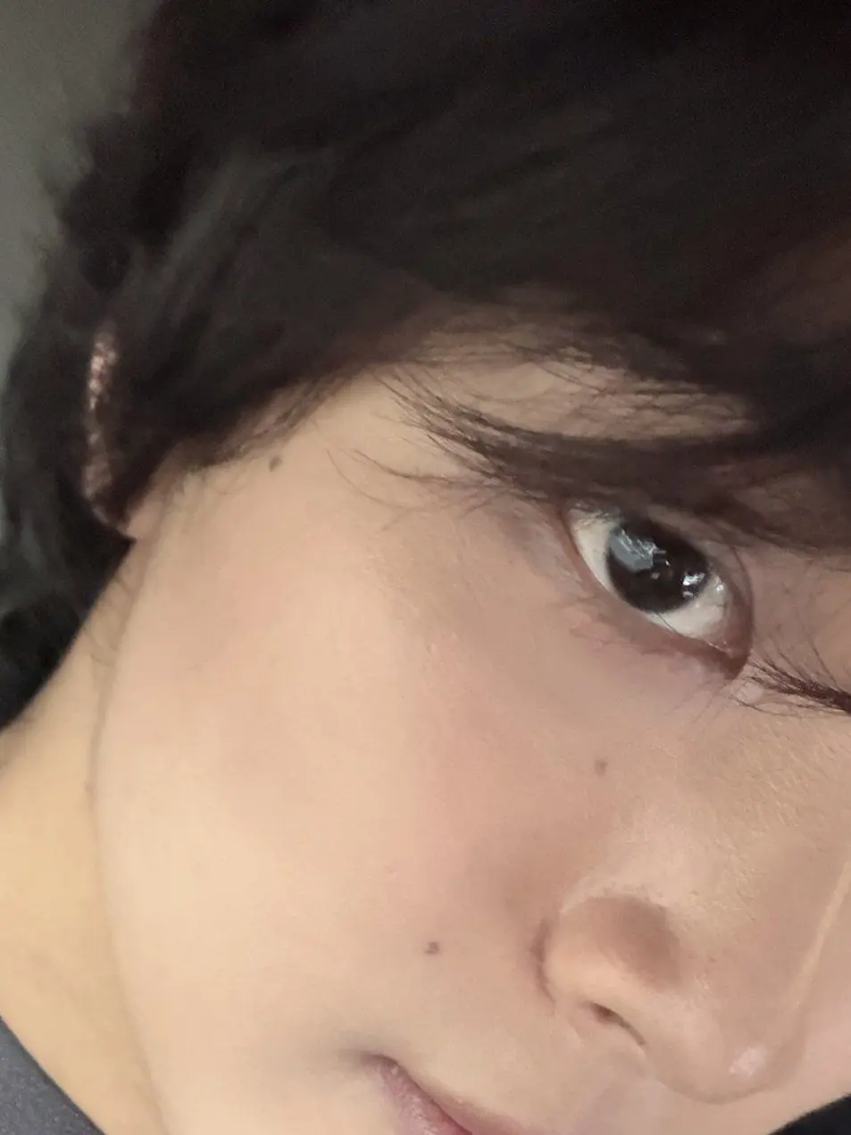 FrayedMiner2880의 元捨て猫ヘチャン