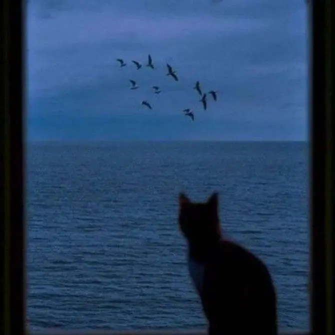 SuperbScrew8331의 「うわー…こういう動画って男といたんや」