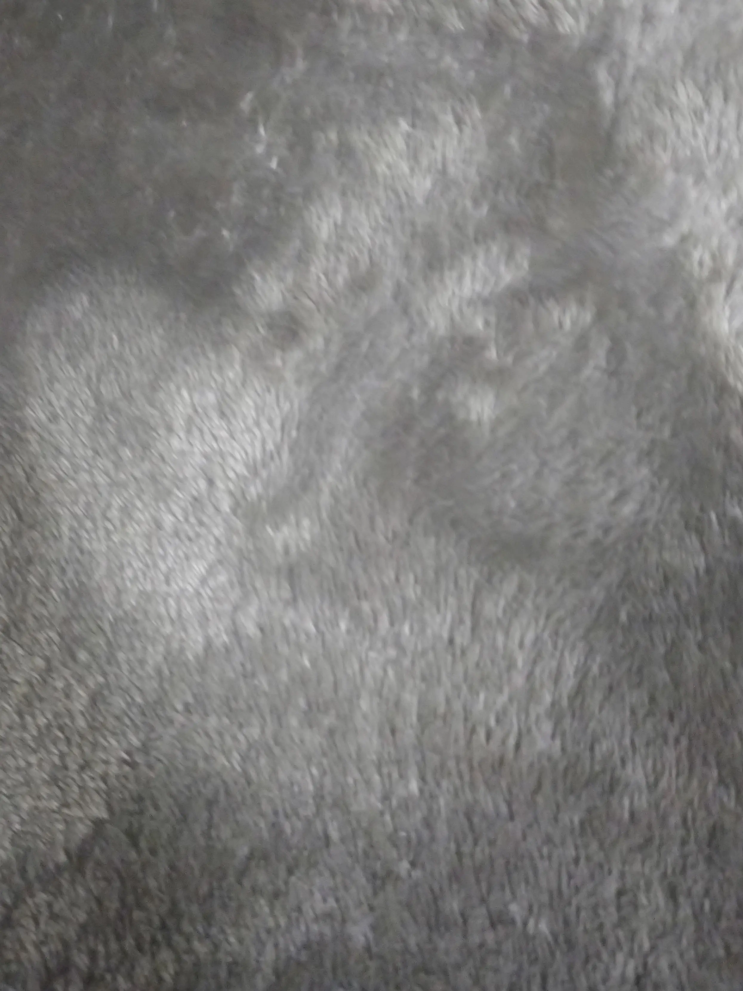 GroggyCrow6651의 ペットが擬人化しちゃった！？