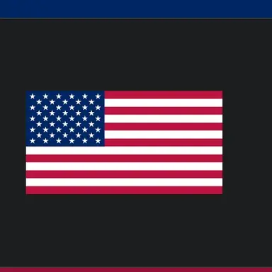 Profile image of 미국