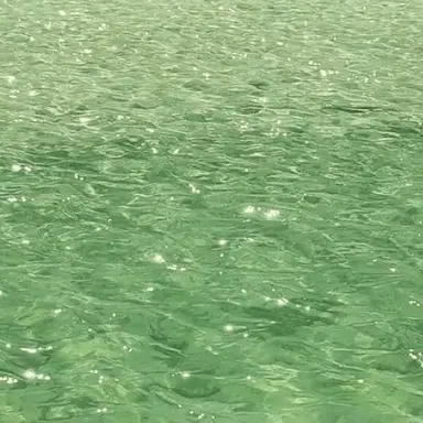 Profile image of 공룡