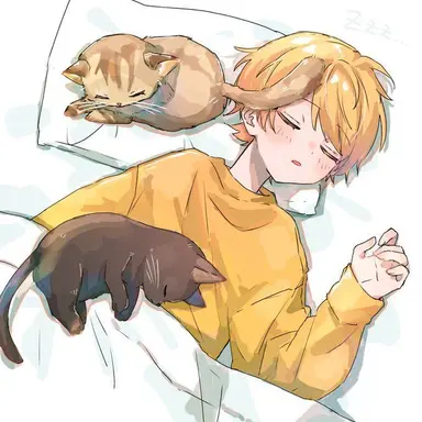 Profile image of あっきぃ