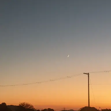 Profile image of ナンパ男