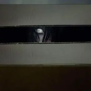 Profile image of Mr. Gap