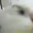 리레볼루션