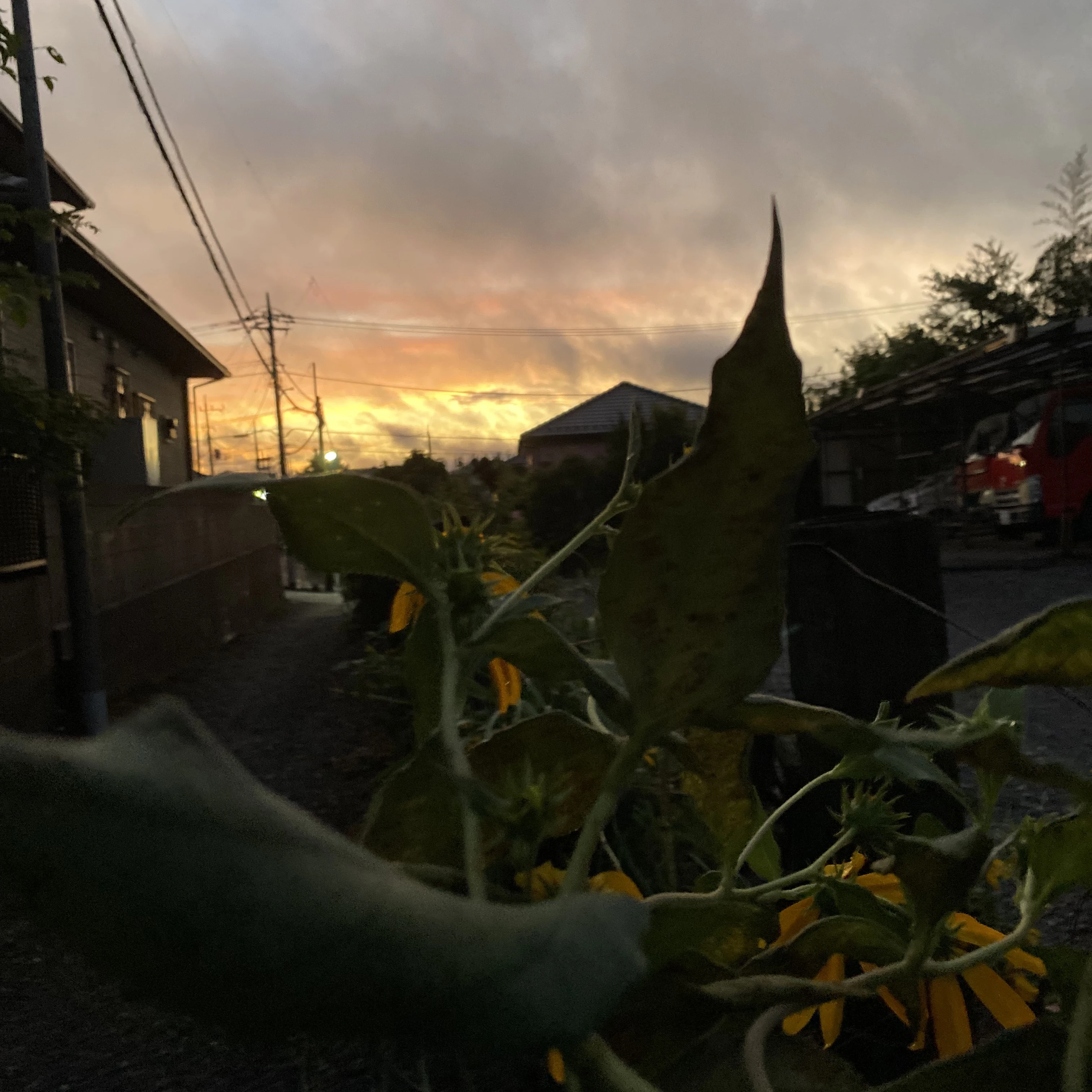 優和の母