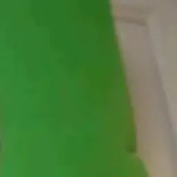 Profile image of 蓮