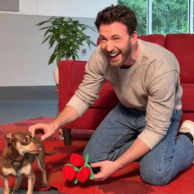 Profile image of Chris Evans
