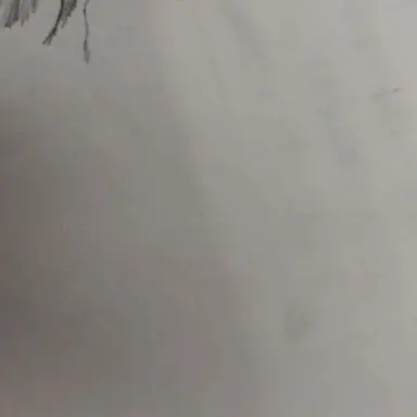 Profile image of ブリ子