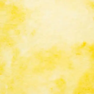 Profile image of 髙地優吾