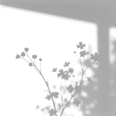 Profile image of 그 외의 인물들
