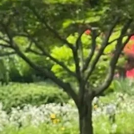 건수녕