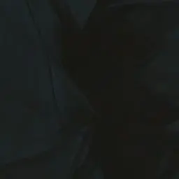 Profile image of 女子生徒