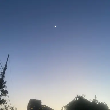 Profile image of 樹音