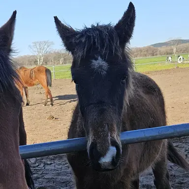 Profile image of 마초