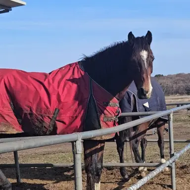 Profile image of 나르