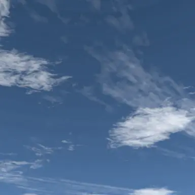 Profile image of バナナな