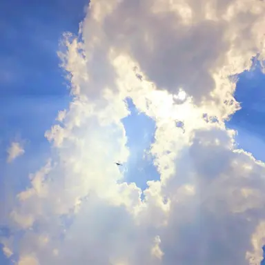 Profile image of 김사부