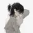 진선우