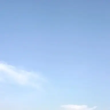 Profile image of ゆら