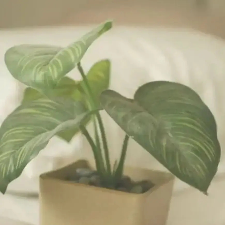 Sleepground_like의 정공룡