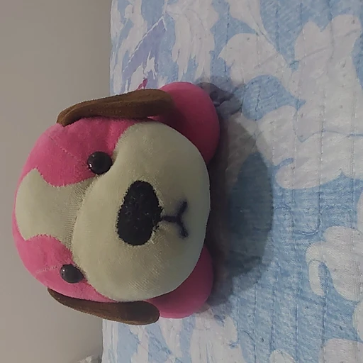 안코잉