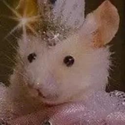 Profile image of 용족이들