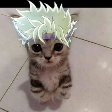Profile image of Caesar Zeppeli