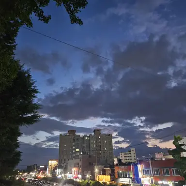 Profile image of 공룡