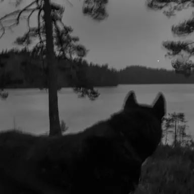 Profile image of 권이건