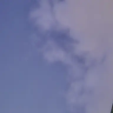 Profile image of 파이브