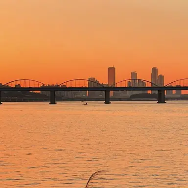 Profile image of 코마