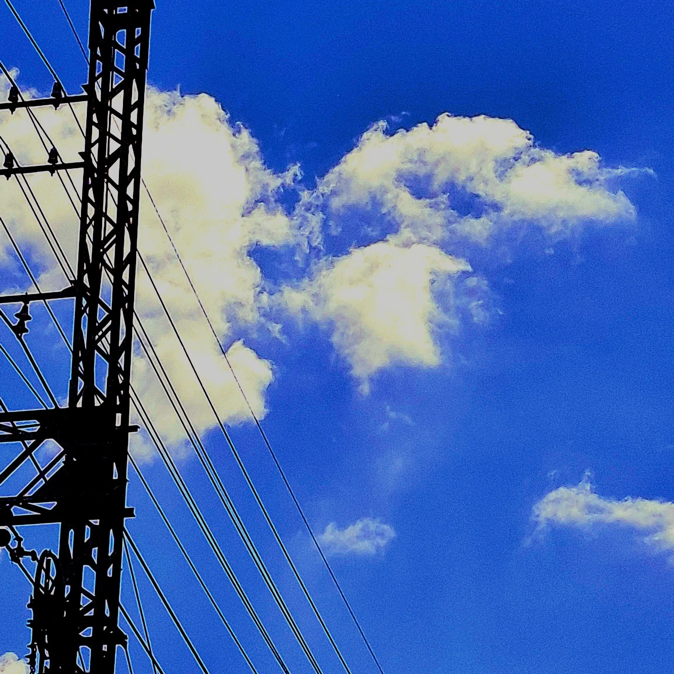 Monsis의 패러다이스 학교