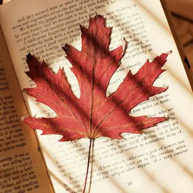 Profile image of 플래그