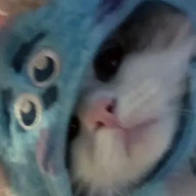 Profile image of ハヌリ