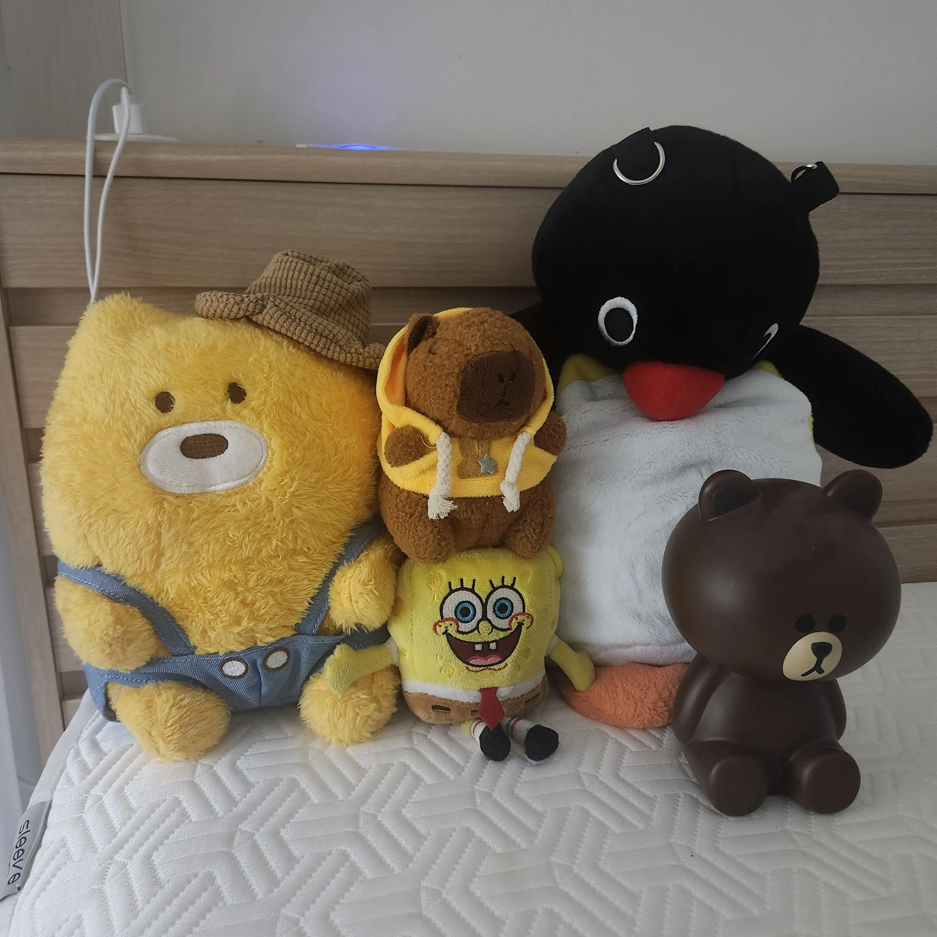 1234567887654321의 자유