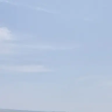 Profile image of 차일드즈