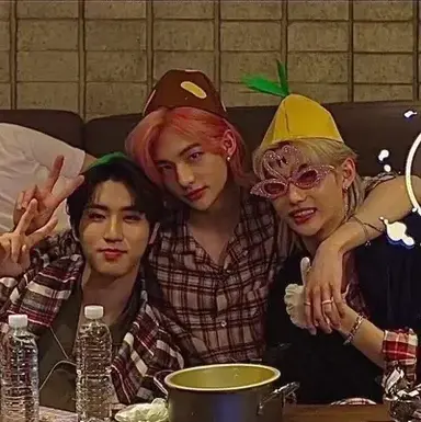 Profile image of Stray kids vampire