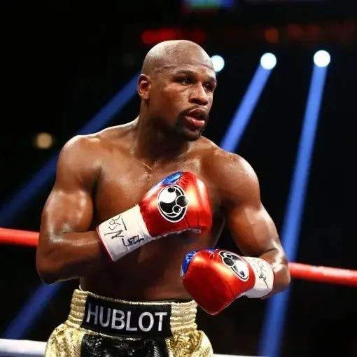 sad97888의 Mayweather
