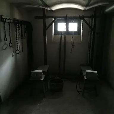 Profile image of 고문실