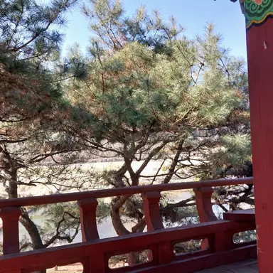 Profile image of 정공룡