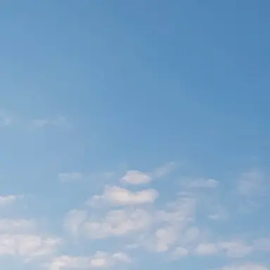 Profile image of 박잠뜰