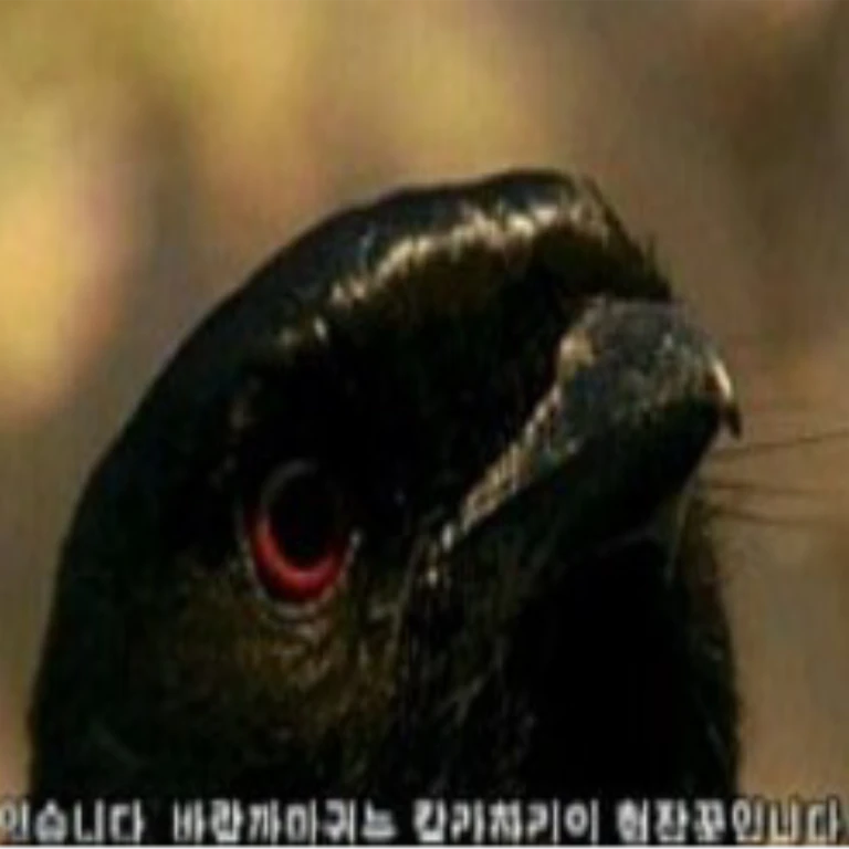 웰턴